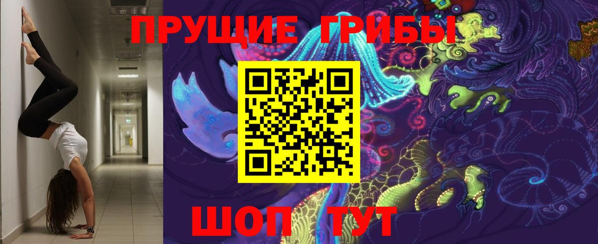 Галлюциногенные грибы Psilocybine cubensis  Галлюциногенные грибы Cubensis  Вход с VPN  Егорьевск 